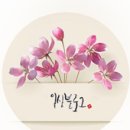 드롭탑창원
