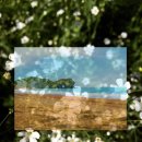 덕흥해수욕장2 이미지