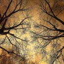 중용의마음 이미지