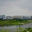 도담동_싱싱장터앞BRT 이미지