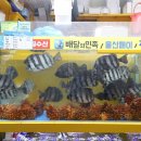 수암횟집 이미지