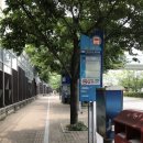 정과정유적지(鄭瓜亭遺蹟址) - 역사를 붙잡으려 애쓰는 안쓰러운 마음은....