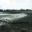 하모해수욕장 이미지