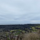 노을해안로 이미지