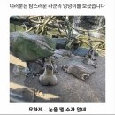 [워홀일기🇯🇵] 앙스타 드림라이브 도쿄/오사카 참전 일기🫡 그런데 이제 오사카여행을 곁들...인?