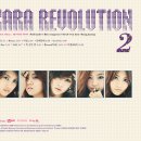 KARA PC 네이버블로그