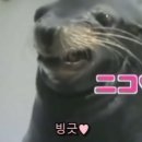 또미마켓