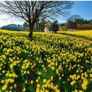 구례목장 이미지