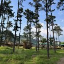 백두대간생태교육원(에코롯지) 이미지