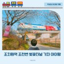 돌다리공원 | 조치원역 조천변 벚꽃길 벚꽃터널 기차 아이랑 연꽃공원 주차 만개상황