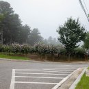 무궁화동산 화장실 이미지