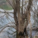 삼월리마을회관 이미지