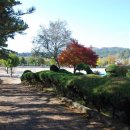 명지초등학교 이미지