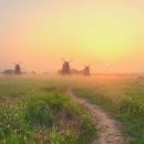 안성목장 이미지