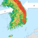 (주)영동싸이언스 이미지