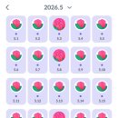챔프 Daum카페
