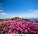 화원목장 이미지