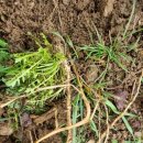 형은농장 이미지