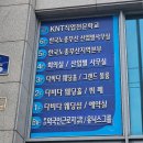 연제구청 2층 대회의실 | 부산 연제구 블랙홀 다비다 웨딩홀 하객으로 다녀온 후기(단독홀)