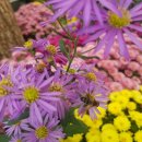 재부 농장 이미지