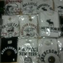 공룡코딱지 이미지