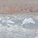 용포마을 이미지