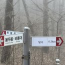 남부 탑사 화장실 이미지