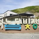 물빛
