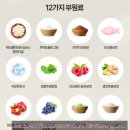 백만정 | 시서스효능 | 뉴온 시서스 필 다이어트 | 후기