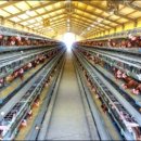 양호농장 이미지