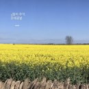 마이김밥 이미지