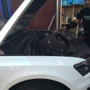 곰식이카 이미지