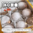 진남상가로충무1길 | 여수 유명 빵집 여수몽돌 이순신광장 디저트 기념품 크림빵 버터떡