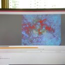 영스킨앤바디 - 시흥시 | 영스킨앤바디