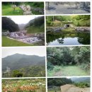 율산농장 이미지