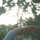 왕궁포레스트 이미지