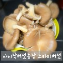 반해버린농장 | 싱싱함에 반해버린 아이작버섯농장 느타리버섯 건강 밥상 책임지는 식재료