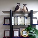 탑플러스학원 | 울산 중구 탑플러스경매학원(＃개인집중반 강의후기)