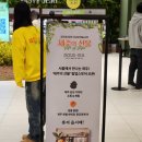 테라피즘 | 제주의 선물 팝업 3월 더현대 서울 방문만 해도 기프트 증정 후기