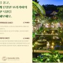 보라카이 마사지 다나루스파 핫스톤 추천 가격 예약 팁