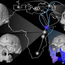 Fitness 6.3 이미지