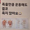 원 복싱클럽 | 수원 세류동 다이어트 운동 인복싱클럽 후기