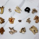 호랑한의원 이미지