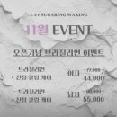 잠실 송파왁싱 레브슈가링왁싱 눈썹왁싱 추천후기