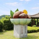 화산고구마 이미지