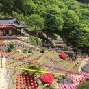 봉화경북약국 이미지