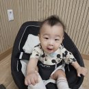 리틀베베 이미지