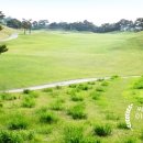 자유컨트리클럽 이미지