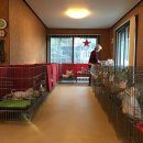 히든밸리켄넬 이미지