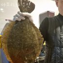 성수동횟집 아프리카 수산 가격 위치 영업시간